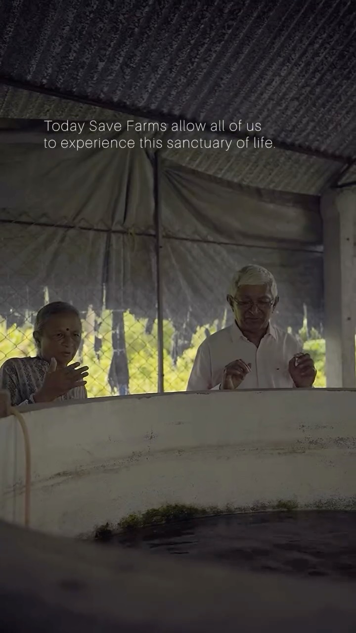 Every sunrise at Save Farm supports conservation, 