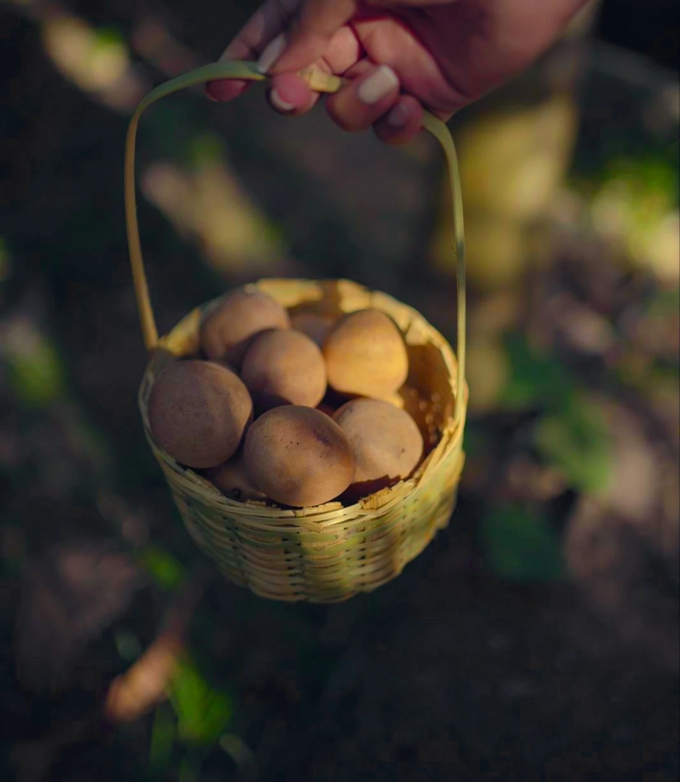 Seasonal Meals from the Farm